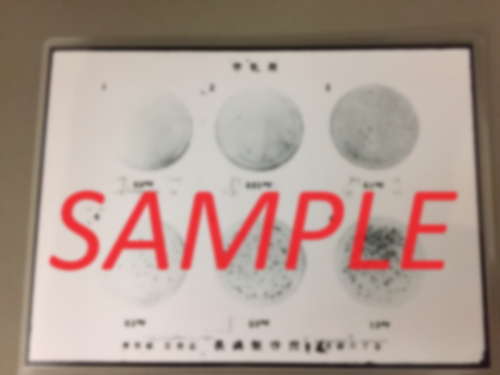 標準塵埃写真版（生乳用・市乳用）